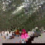 Nur Zaitun Harahap profile icon