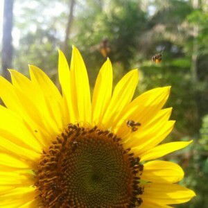 Eka Purwatiningsih profile icon