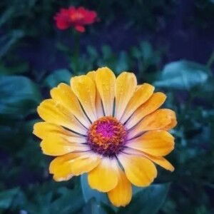 Erna Nurreunika profile icon