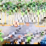 Azam Raja profile icon