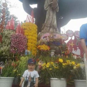 Hằng Vũ profile icon