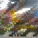 Hằng Vũ profile icon