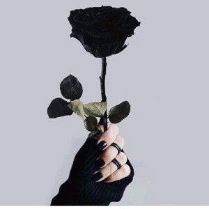 Mụn Ruồi profile icon