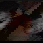 Wan Ayda profile icon