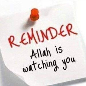 Atiqah Amin profile icon