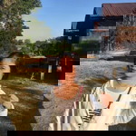 เจน จิ profile icon