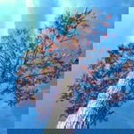 Rayhannah profile icon