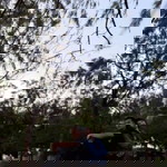 Reza ZhaMien profile icon