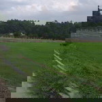 Nguyển Loan profile icon