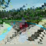 Dian Fajar profile icon