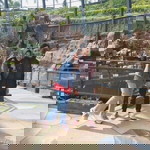 Sitirahmah profile icon