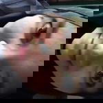 Ade Nahdiatul profile icon