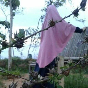 Sutiawati profile icon