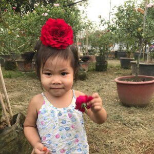 Huong Mac profile icon