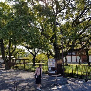 N-Rene Liaw profile icon