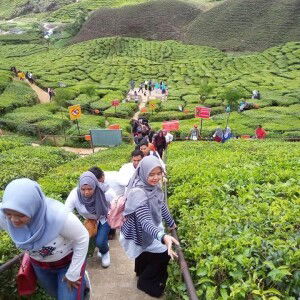 Cik Yuyu DC profile icon