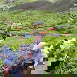 Cik Yuyu DC profile icon