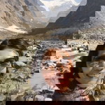 HyOk Arthi profile icon