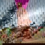 Niny Evan profile icon