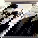 Ovi Octaviana profile icon