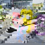 Astuti Aprilia profile icon