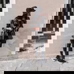 alifa rahmania profile icon