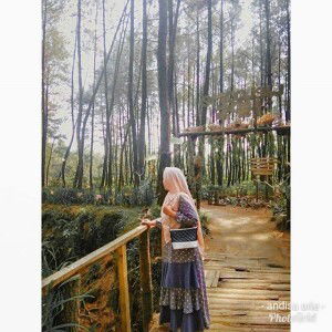 Andisa Ari profile icon