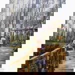 Andisa Ari profile icon