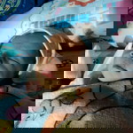 Lim Mah profile icon