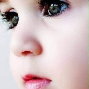 Lemon Ping profile icon