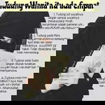 Intan Amira profile icon