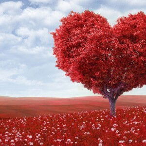 Apriani Puji Lestari profile icon