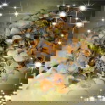 Alwaniey Joeharie profile icon