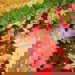 Erni Anggraini profile icon