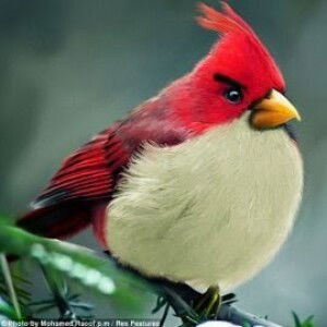 Riska Bokings profile icon