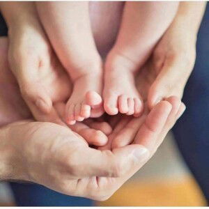 Hoàng Nguyên profile icon