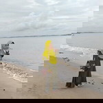 Mariany Shabilla profile icon