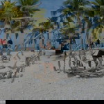 Sigrid Eva Sanchez profile icon