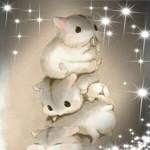 Lê Quyên profile icon