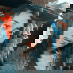 Dreamingwind -wind profile icon