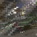 Nur Syuhada Mokhtar profile icon