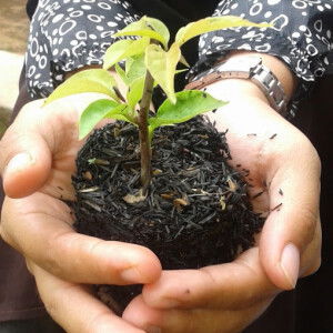 bundashaka profile icon