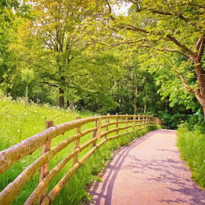 yuliani profile icon