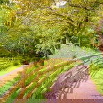 yuliani profile icon