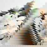 Ibunya Muhammad Hafizh Alfariq profile icon