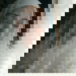 Nasuha Chua profile icon
