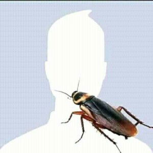 Tricia Aira L. Beturin profile icon