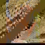 Nenk Mbun Henna Art profile icon