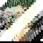 Ima Wahyuni profile icon