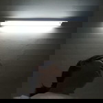 Bull Ma profile icon